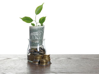 Pot of money and plant